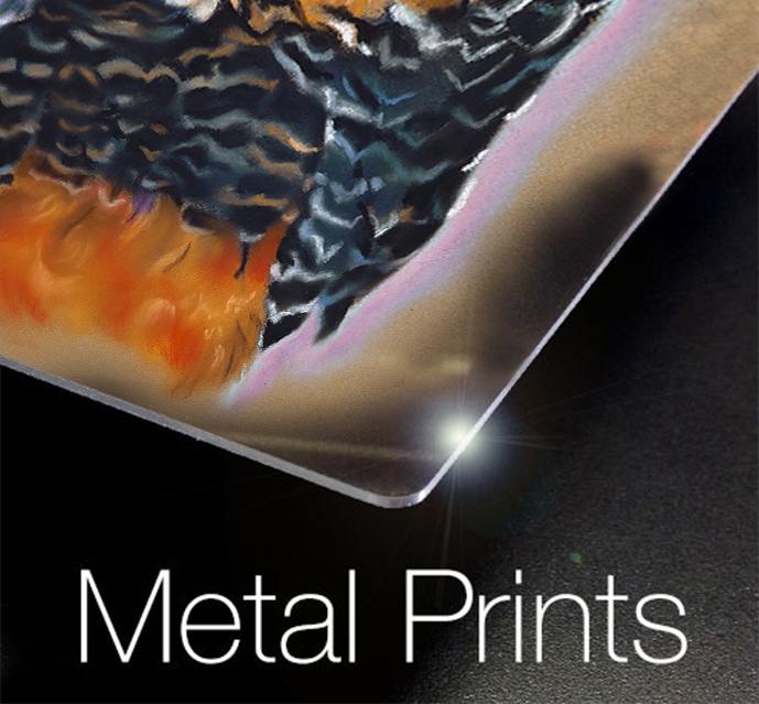 Metal Prints Falcon Digital Printing & Framing, LLC